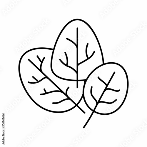 spinach plant line icon vector illustration