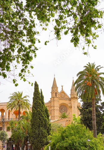 Cathedral of palma de mallorca from Passeing del Born  Spain