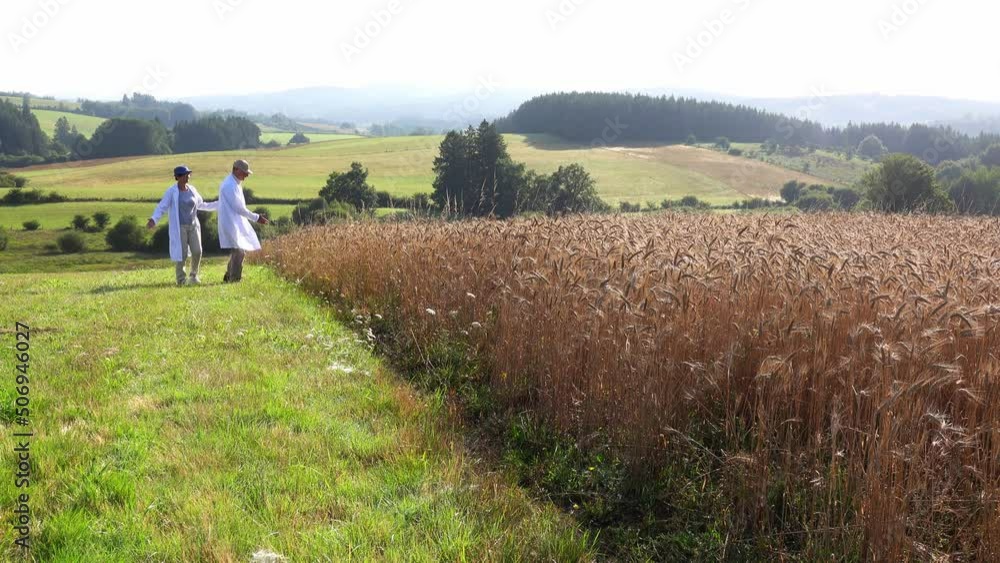 Agricultural workers in white coats at the edge of a wheat field argue over the quality of the crop. Agricultural workers in white coats at the edge of a wheat field argue over the quality of the crop.