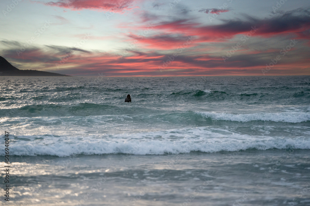 Fototapeta premium Beach