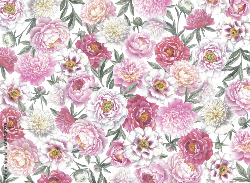 Floral background. Hand drawn botanical illustration with peonies.