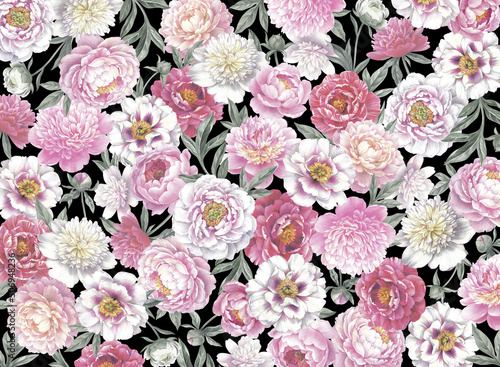 Floral background. Hand drawn botanical illustration with peonies. © Anna Sm