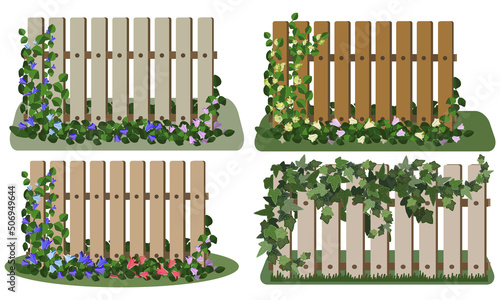Garden fence set with climbing plants, flowers, greenery. Vector illustration