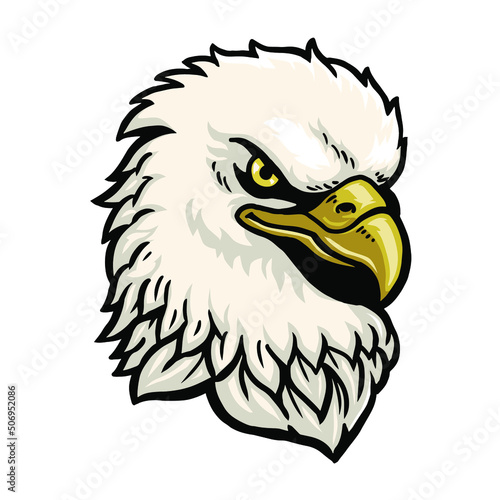 calm eagle face without 