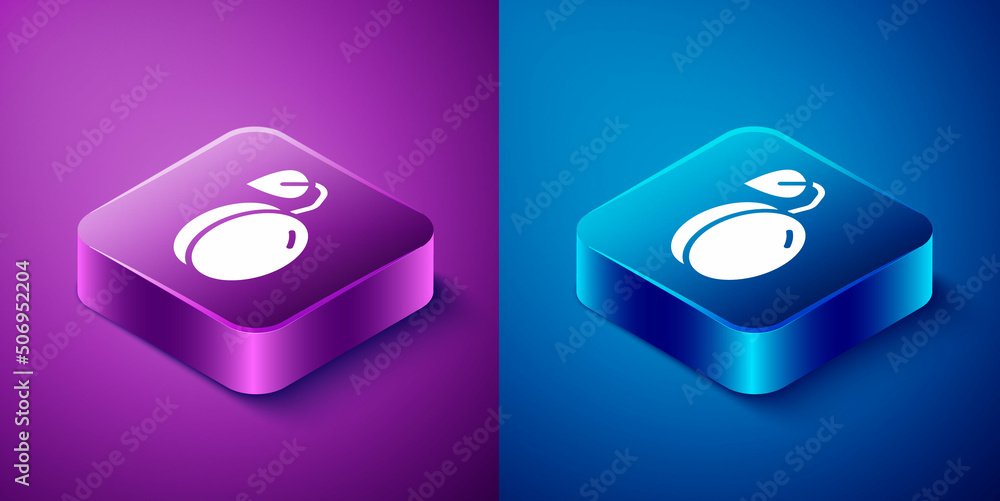 Isometric Plum fruit icon isolated on blue and purple background. Square button. Vector Isometric Plum fruit icon isolated on blue and purple background. Square button. Vector