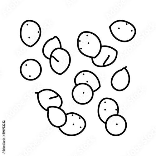 millet seed line icon vector illustration