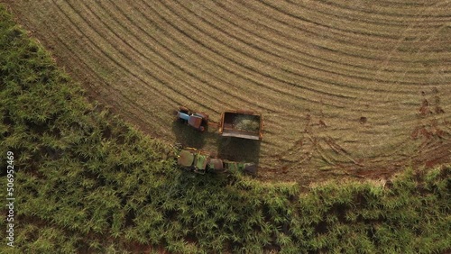 Bariri Sao Paulo Brasil - May 19 2022 - cane harvest - harvester and trailer - drone view photo