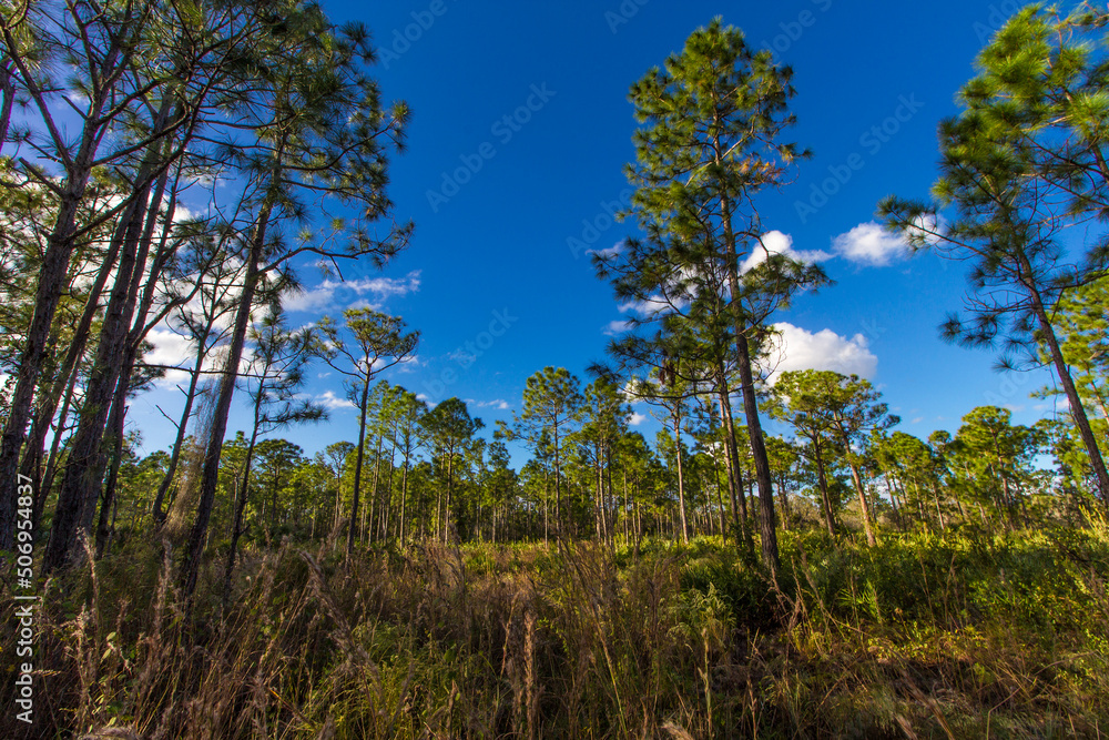 Oxbow eco-center, Fort Pierce, Florida