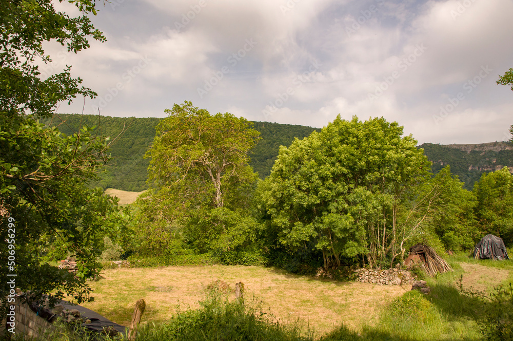 Fototapeta premium Baquedano (Navarra) España
