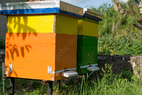 Two colorful wooden hives with bees in the apiary on a spring sunny day. Beekiping concept. Close up, selective focus © Emilija