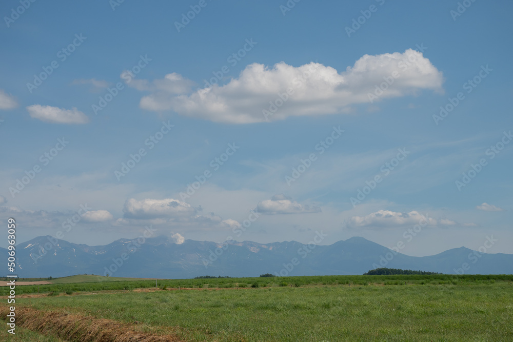 Fototapeta premium 緑の牧草畑と山並み 十勝岳連峰 