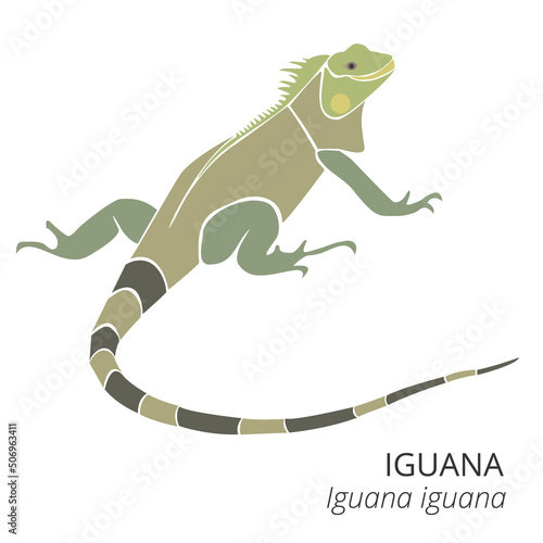 Cute Green Iguana Cartoon Vector Illustration