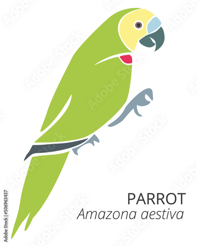 Cute cartoon parrot illustration with bright colors. Vector illustration of parrot on white background.