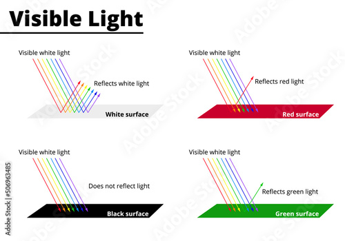 Visible colors from lightwaves on surfaces. Light waves are reflected or absorbed on different surfaces. Vector illustration.