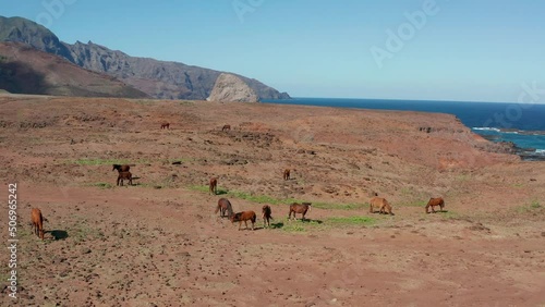 vue aérienne de l'ile au chevaux sur l'ile de ua huka en Polynésie française dans l'archipel des marquises 