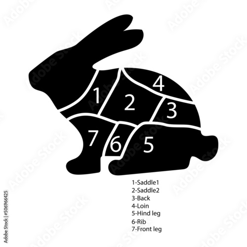Rabbit slicing scheme. Slicing chart with numbers. Vector illustration. stock image