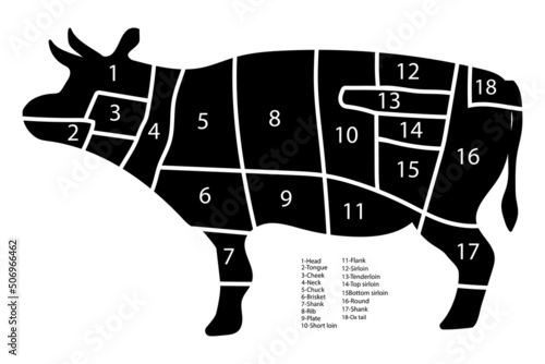 bull slicing scheme. Slicing chart with numbers. Vector illustration. stock image.