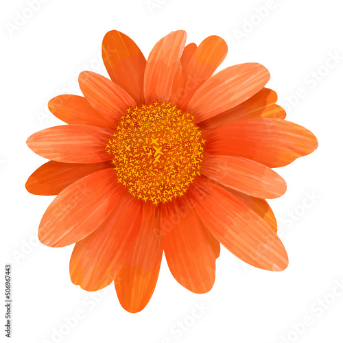 Hand drawn realistic watercolor Gerbera Daisy flower  A Bunch of flowers  vector illustration
