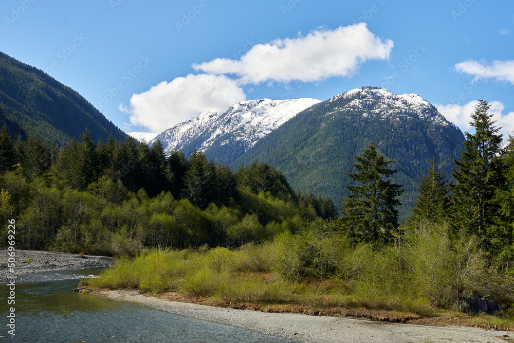 Remote river flowing through bright green bushes and coniferous trees with a view of distant snow capped mountains on a bright spring day.