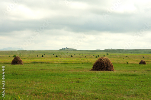 Stacks of freshly cut hay in the endless steppe surrounded by high hills.