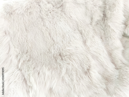 white fur texture close-up abstract beautiful fur background