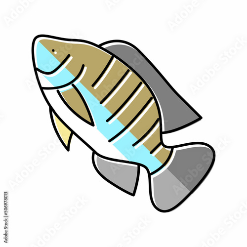 nile tilapia color icon vector illustration