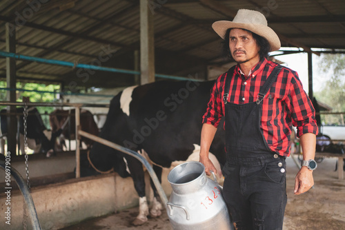 farmer carrying a barrel of milk walks past the dairy cowshed.,cows farm, small business