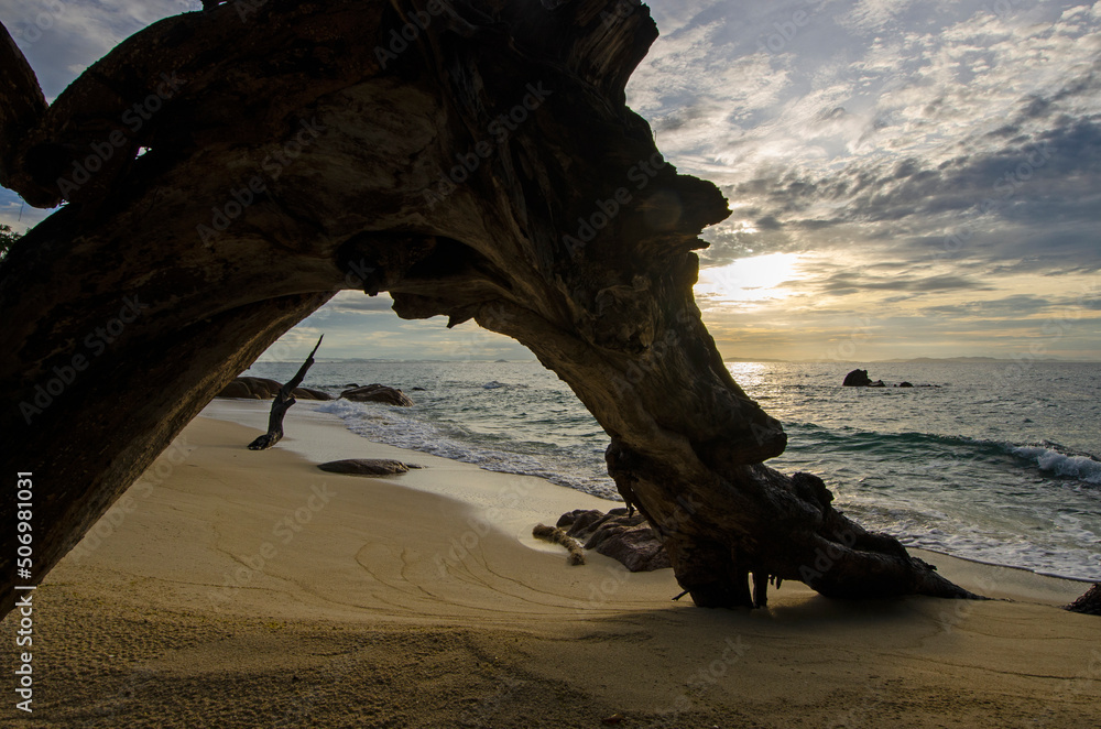Beautiful arch stump on beautiful beach in morning light