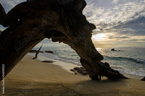 Beautiful arch stump on beautiful beach in morning light