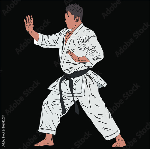 karate pose illustration vector. kata karate technique