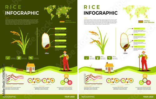 Rice Infographic Illustration Light and Dark