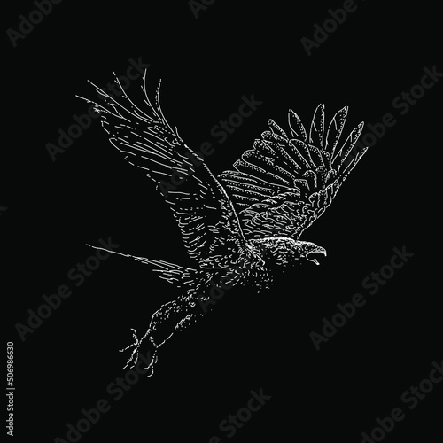 Eagle hand drawing vector illustration isolated on black background