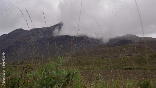 Highland Plants rustling in the Breeze with Black Cuillin Mountains in the Background photo