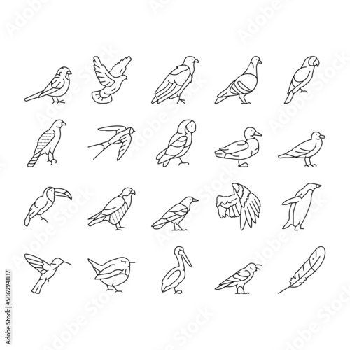Fotografia Bird Flying Animal With Feather Icons Set Vector