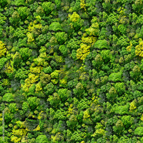 Forest seamless pattern - view from above.