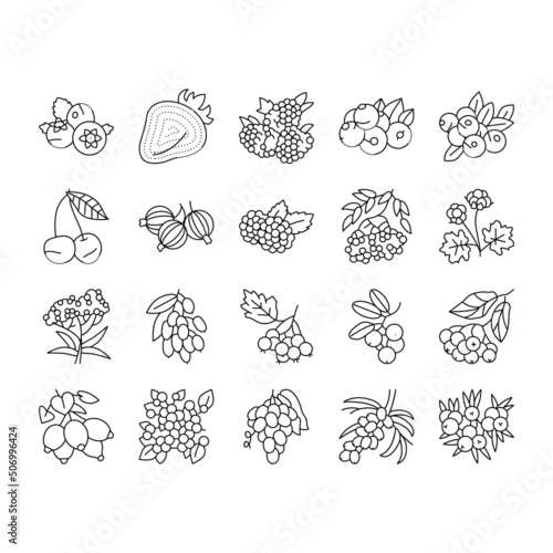 Berry Delicious And Vitamin Food Icons Set Vector