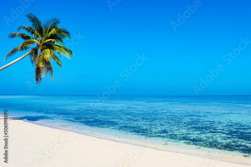 Shoreline of a tropical island in the Maldives and view of the Indian Ocean.