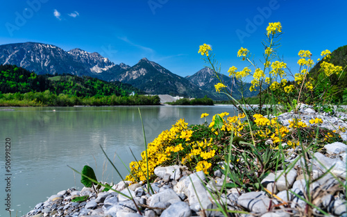 Blumen am Lech photo