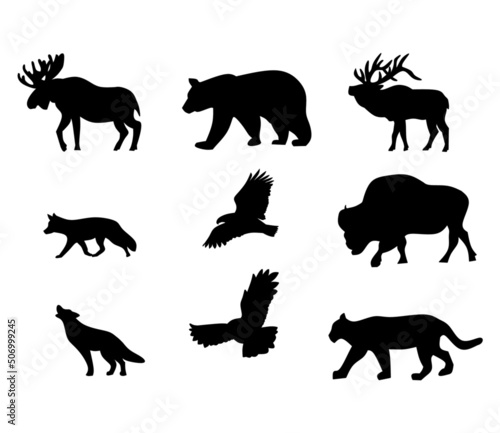 silhouettes