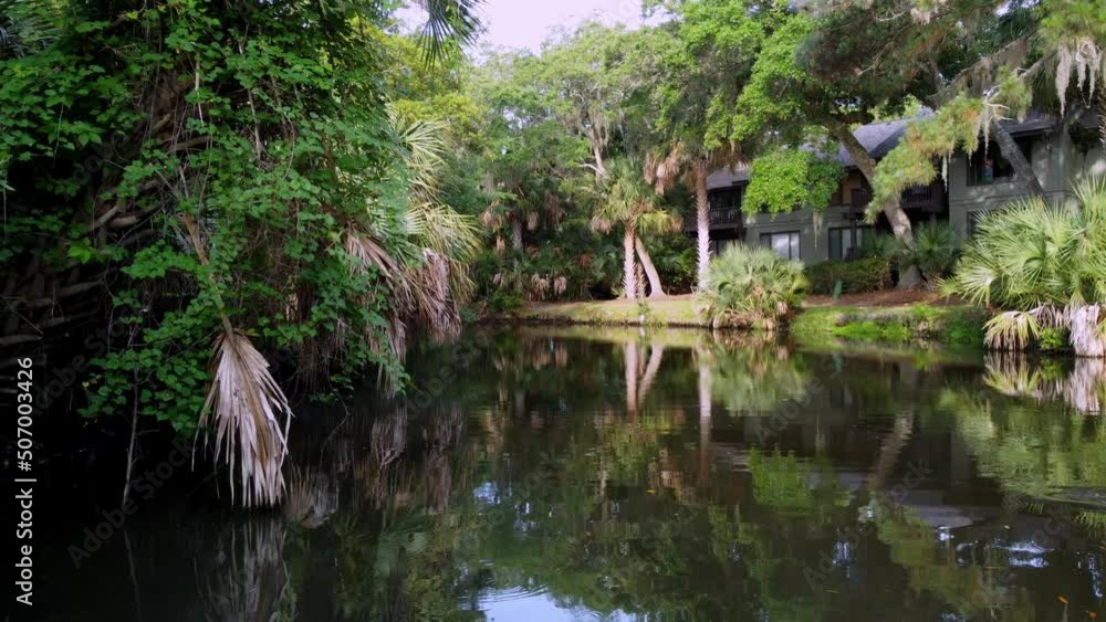 Swamp, Marsh in Charleston Sc, South Carolina Swamp, Marsh in Charleston Sc, South Carolina