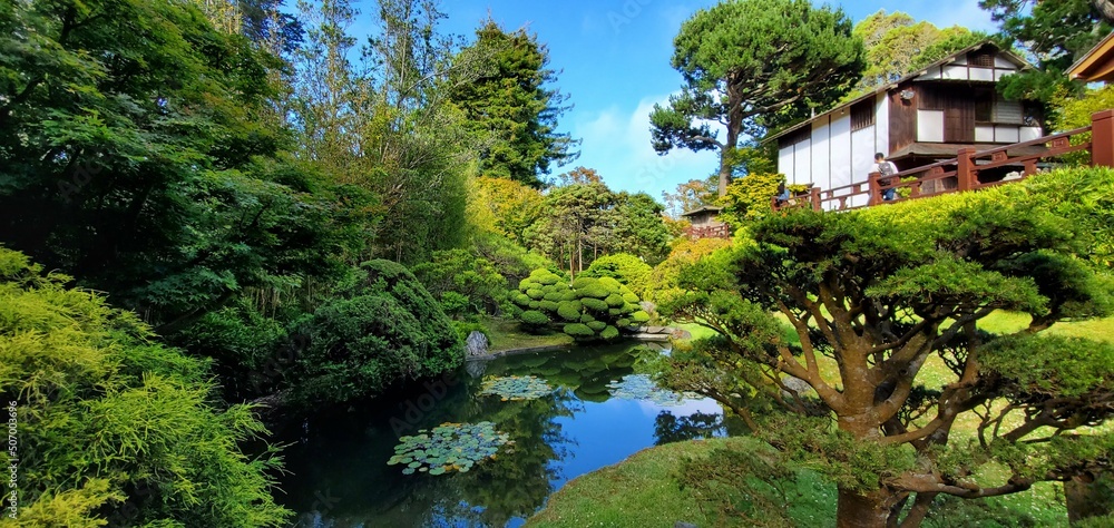 Japanese garden located in San Francisco 