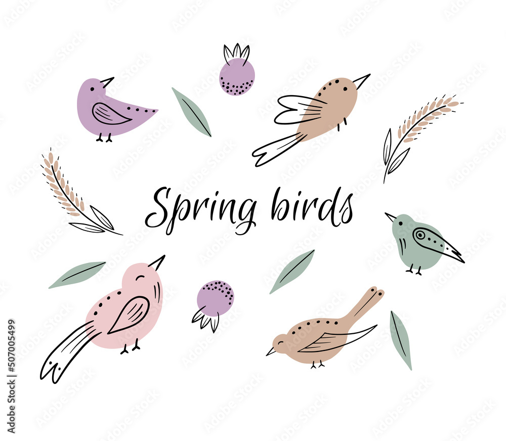 Fototapeta premium Colorful bird collection. Collection of cute hand drawn bird doodles.