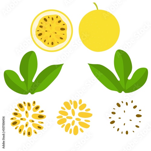 Vector illustration of passion fruit. Passion fruit whole and chunks. Ripe yellow with leaves and seeds. Isolated on a white background.