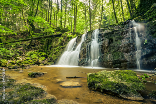 Cascade im Wald