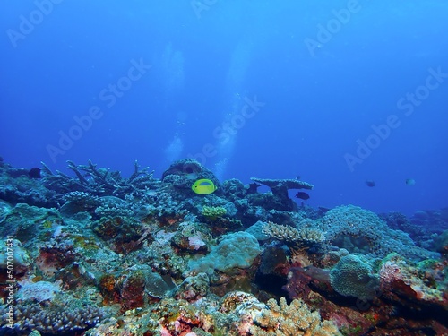 Underwater in Kume island, Okinawa