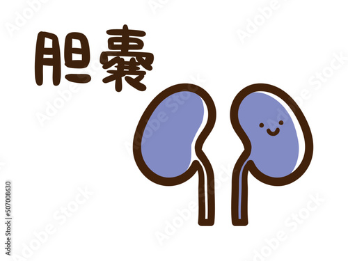 人体の内臓器官胆嚢のかわいいデフォルメ手書き風イラスト（名称あり）