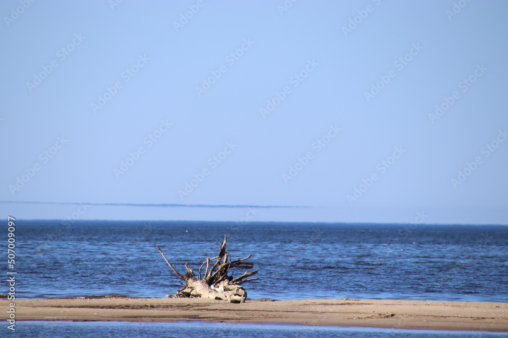 sea beach
sea beach