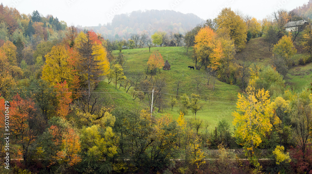 Colorful autumn trees in the mountains. Landscape with a variety of warm colors. Colorful autumn trees in the mountains. Landscape with a variety of warm colors.