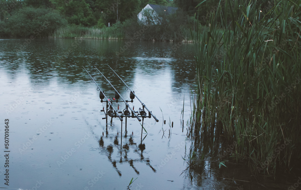 Carp fishing rods and bite alarms setup in the water of a lake, on a rainy day. Fishing for large fish. Carp fishing rods and bite alarms setup in the water of a lake, on a rainy day. Fishing for large fish.