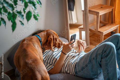 Young adult woman lying on bag chair at home using smartphone with hungarian pointer dog